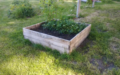 Bac potager en chêne